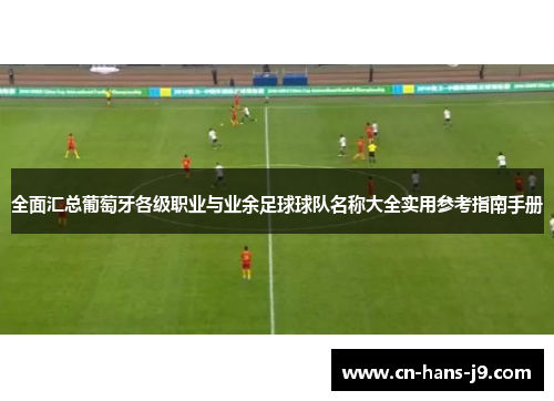 全面汇总葡萄牙各级职业与业余足球球队名称大全实用参考指南手册